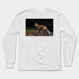 Red Fox - Algonquin Park, Canada Long Sleeve T-Shirt